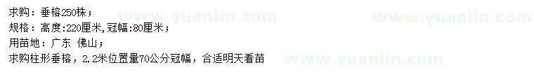求購(gòu)高220公分垂榕