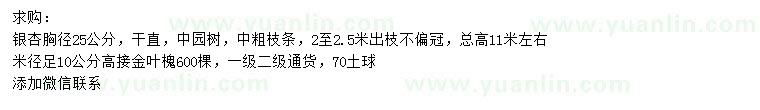求購胸徑25公分銀杏、米徑10公分金葉槐