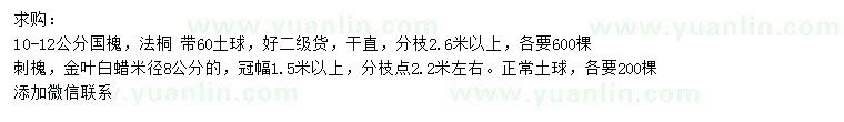 求購(gòu)國(guó)槐、刺槐、金葉白蠟