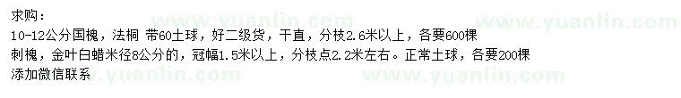 求購國槐、法桐、刺槐等