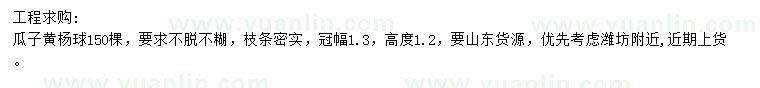 求購(gòu)高1.2米瓜子黃楊球