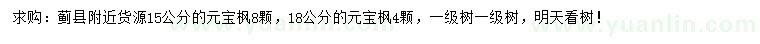 求購15、18公分元寶楓