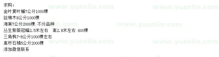 求購金葉復(fù)葉槭、絲棉木、海棠等