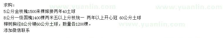 求購金枝槐、國槐、柳樹
