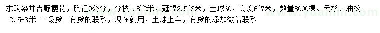 求購染井吉野櫻、云杉、油松