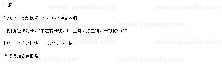 求購(gòu)法桐、國(guó)槐、櫻花