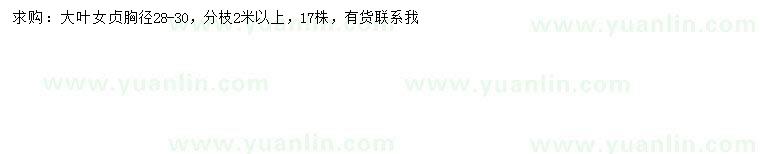 求購胸徑28-30公分大葉女貞