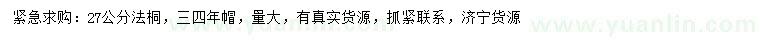 求購27公分法桐