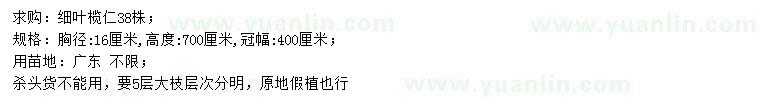 求購胸徑16公分細葉欖仁