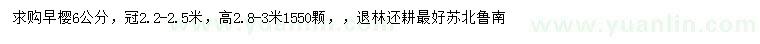 求購6公分早櫻