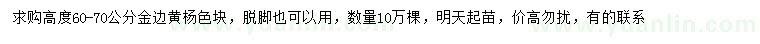 求購高60-70公分金邊黃楊