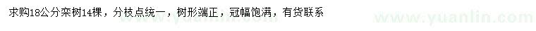 求購18公分欒樹(shù)