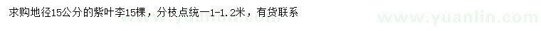 求購地徑15公分紫葉李