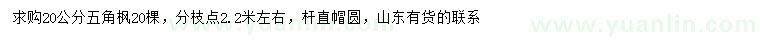 求購20公分五角楓