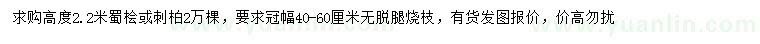 求購高2.2米蜀檜、刺柏