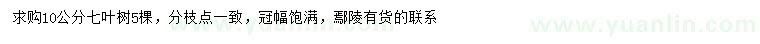求購10公分七葉樹(shù)