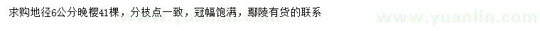 求購地徑6公分晚櫻