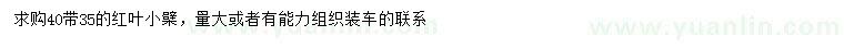 求購35、40公分紅葉小檗