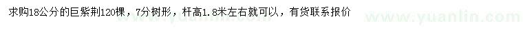 求購18公分的巨紫荊