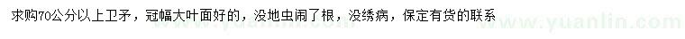 求購70公分以上衛矛