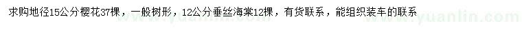 求購地徑15公分櫻花、12公分垂絲海棠