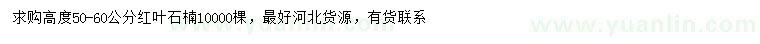 求購高50-60公分紅葉石楠