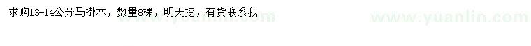求購13-14公分馬褂木