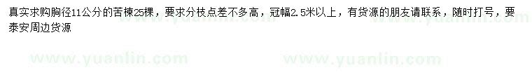 求購胸徑11公分苦楝