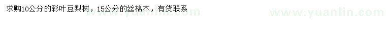 求購10公分彩葉豆梨樹(shù)、15公分絲棉木