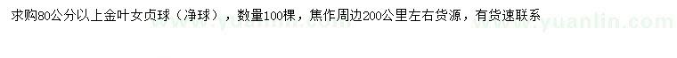 求購80公分以上金葉女貞球