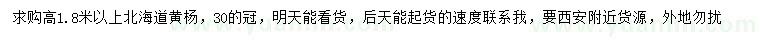 求購高1.8米以上北海道黃楊