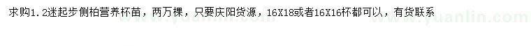 求購1.2米以上側柏