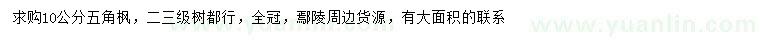 求購(gòu)10公分五角楓
