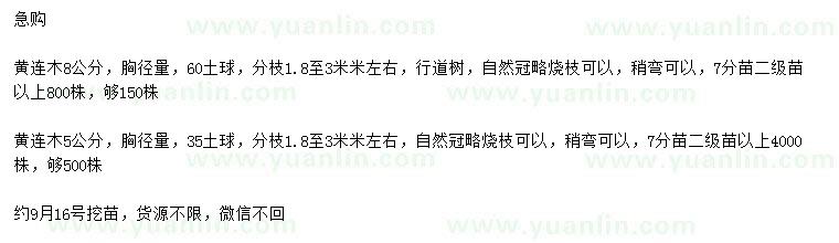 求購胸徑5、8公分黃連木