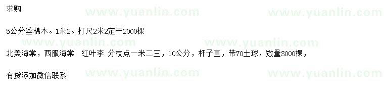 求購絲棉木、北美海棠、西府海棠等