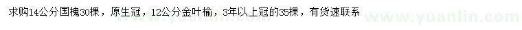 求購14公分國槐、12公分金葉榆