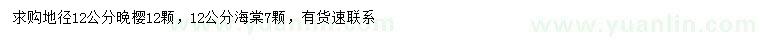 求購地徑12公分晚櫻、海棠