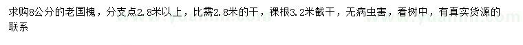 求購8公分老國槐