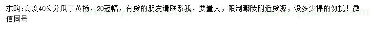 求購高40公分瓜子黃楊