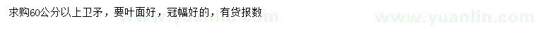 求購60公分以上衛矛