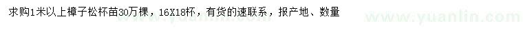 求購1米以上樟子松