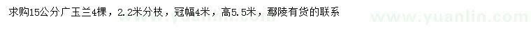 求購15公分廣玉蘭