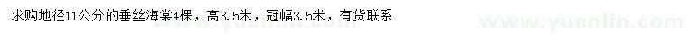 求購地徑11公分垂絲海棠