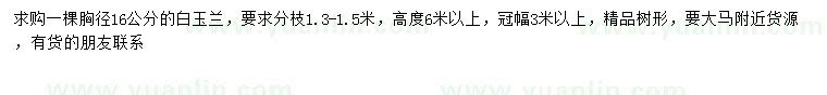 求購胸徑16公分白玉蘭