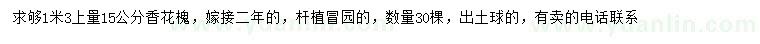 求購1.3米量15公分香花槐