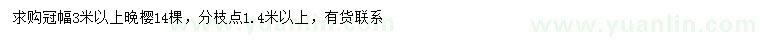 求購冠幅3米以上晚櫻