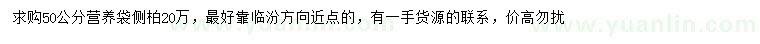 求購(gòu)50公分側(cè)柏