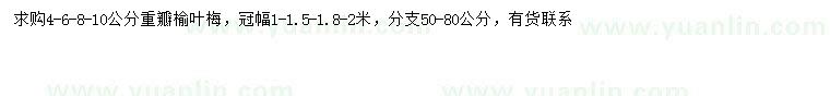 求購4-6-8-10公分重瓣榆葉梅