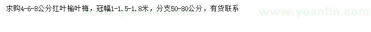 求購4-6-8公分紅葉榆葉梅