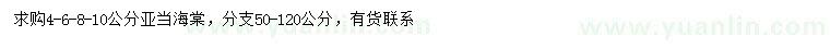 求購(gòu)4-6-8-10公分亞當(dāng)海棠